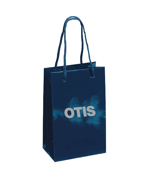 Small Gift Bag
