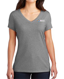 Ladies V-Neck T-Shirt
