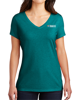 Ladies V-Neck T-Shirt