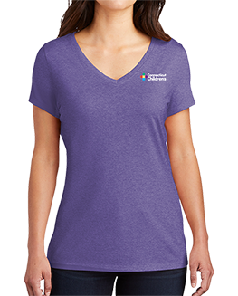 Ladies V-Neck T-Shirt