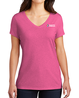 Ladies V-Neck T-Shirt
