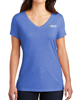 Ladies V-Neck T-Shirt