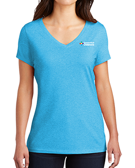 Ladies V-Neck T-Shirt