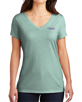 Ladies V-Neck T-Shirt