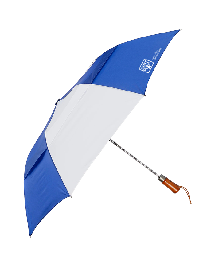 Folding Umbrella
