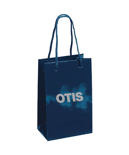 Small Gift Bag