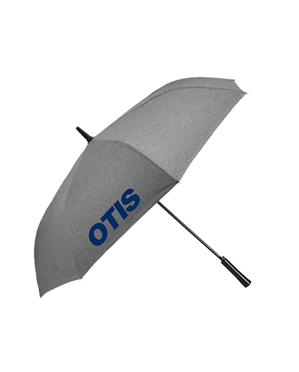 Auto open umbrella