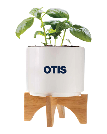Planter Set