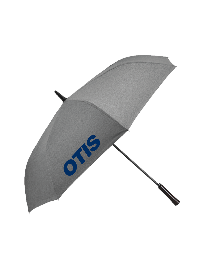 Auto open umbrella