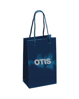 Small Gift Bag