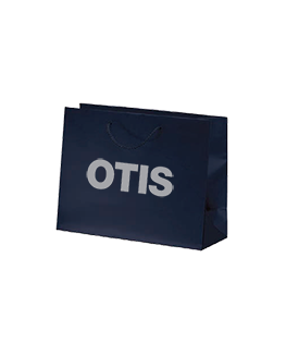 Medium Gift Bag