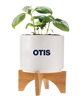 Click to view Planter Set